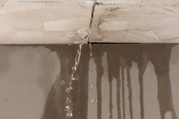 Professional Flood Damage Cleanup technician working in Livingston, AL